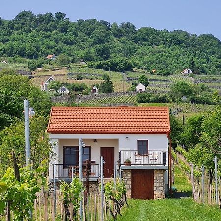 Jera Pince Es Vendeghaz Villa Somlovasarhely Buitenkant foto