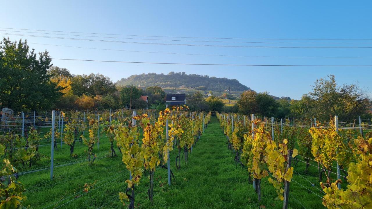 Jera Pince Es Vendeghaz Villa Somlovasarhely Buitenkant foto