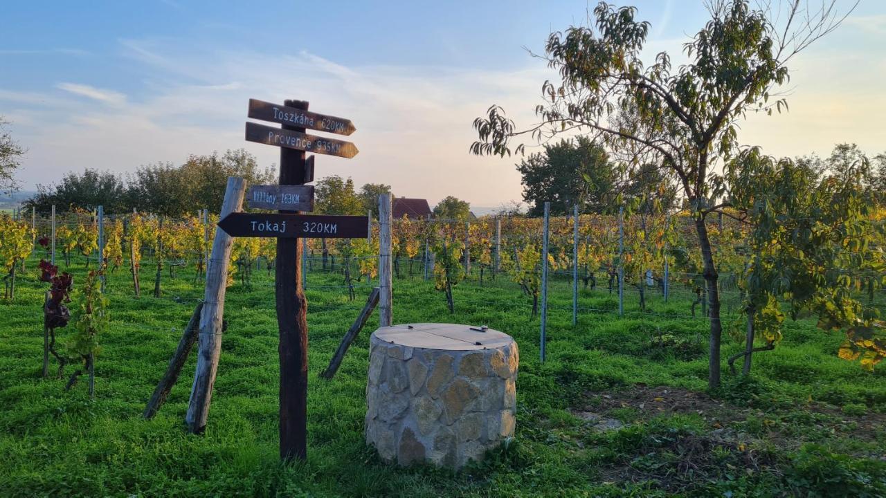Jera Pince Es Vendeghaz Villa Somlovasarhely Buitenkant foto