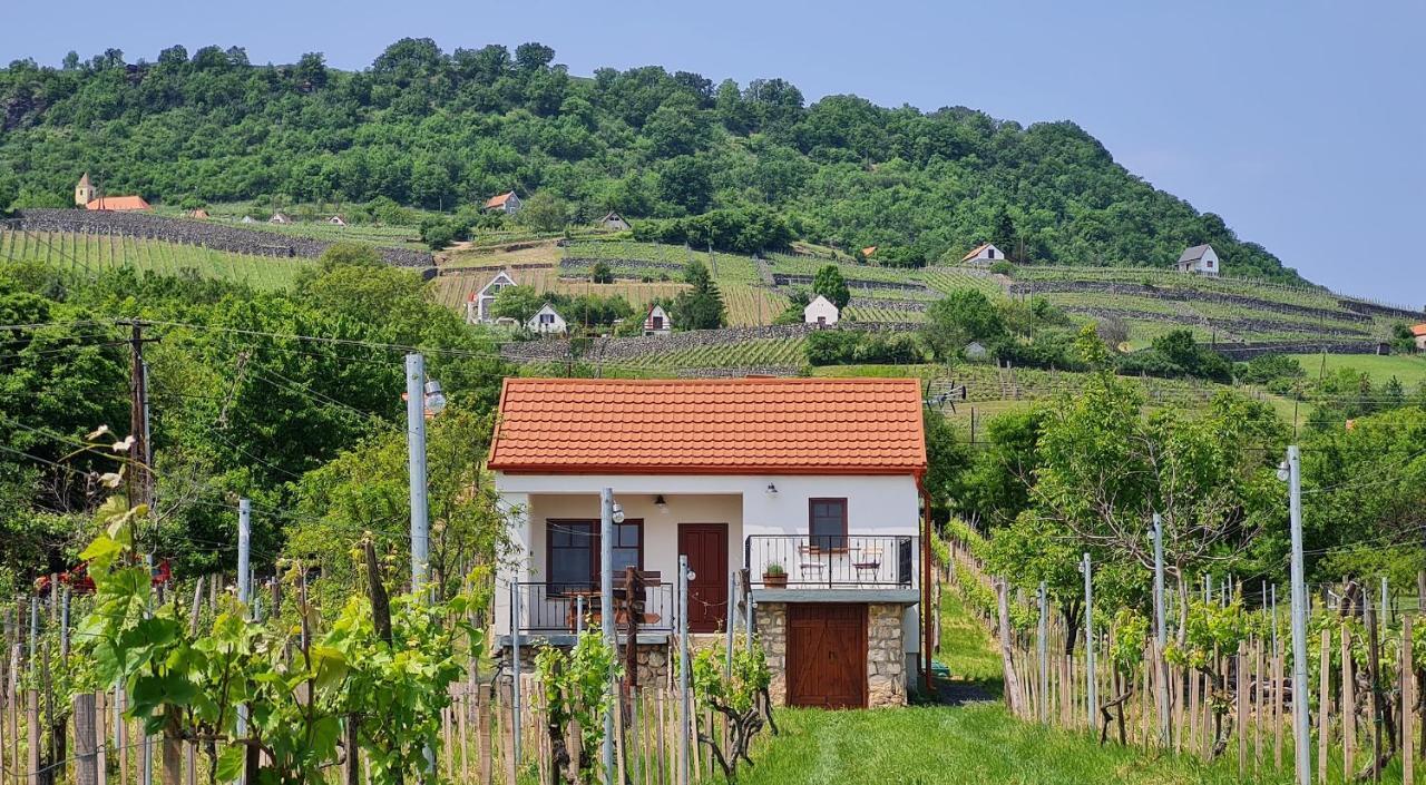 Jera Pince Es Vendeghaz Villa Somlovasarhely Buitenkant foto