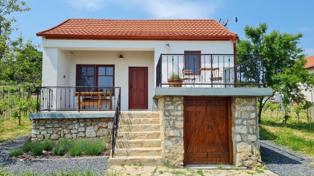 Jera Pince Es Vendeghaz Villa Somlovasarhely Buitenkant foto